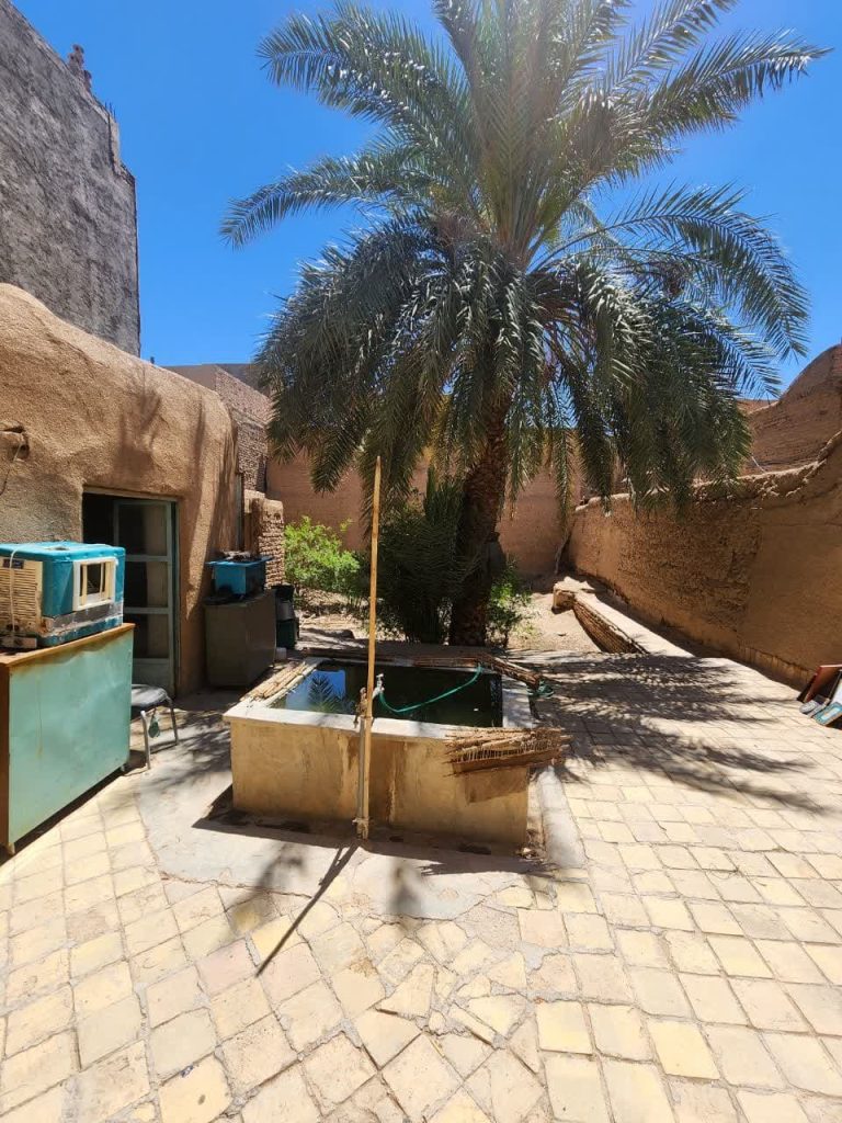 photo_2023-06-28_23-48-38